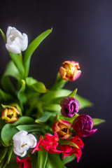 Multicolored flowers on a dark background