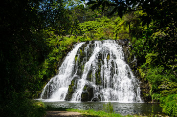 Fototapeta premium Owharoa Falls with blue sky above at Coromandel Peninsula, North Island, New Zealand