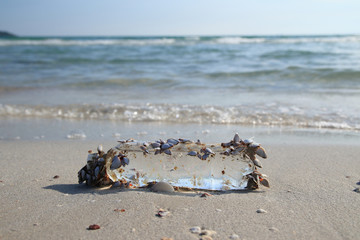 Clear plastic bottle garbage with clams