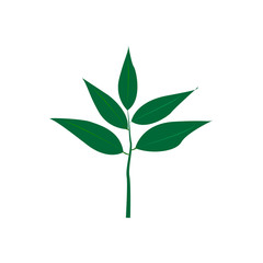 Green leaves isolated on white background. Flat style