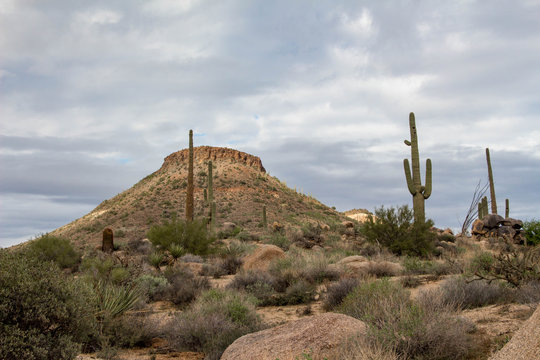 Brown's Ranch hiking trail in Scottsdale Arizona