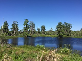 park with wetlands