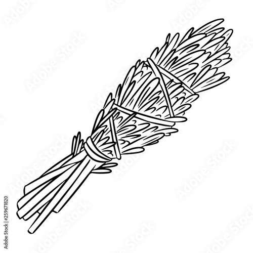 sage bundle drawing