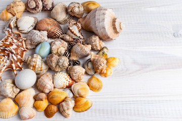 Different marine items on light wooden background. Copy space.