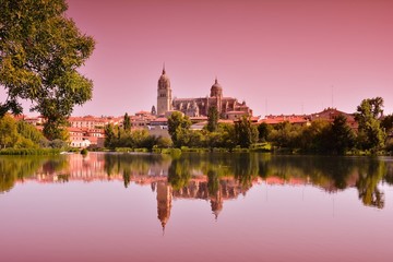 Beautiful landscape with famous Salamanca cathedral in Spain - obrazy, fototapety, plakaty