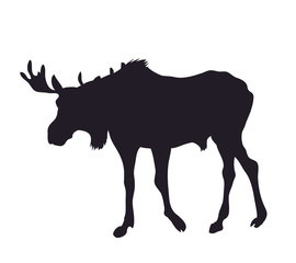 vector illustration deer lies, silhouette, vector