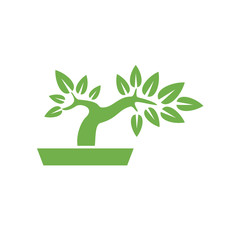 Bonsai icon on background for graphic and web design. Simple vector sign. Internet concept symbol for website button or mobile app.