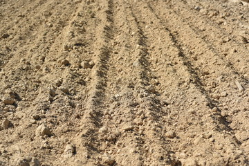 background image of the soil plots prepared for annual crops