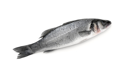 Fresh sea bass fish on white background