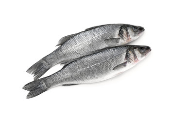 Fresh sea bass fish on white background