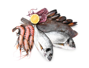 Fresh seafood on white background