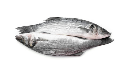 Fresh sea bass fish on white background