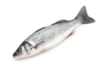 Fresh fish on white background
