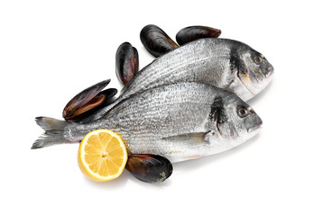 Fresh fish and mussels on white background