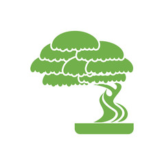 Bonsai icon on background for graphic and web design. Simple vector sign. Internet concept symbol for website button or mobile app.