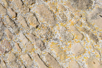 Ancient stone texture of light brown and dark brown