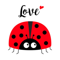 Red lady bug ladybird icon. Love greeting card with heart. Happy Valentines Day. Cute cartoon kawaii funny baby character. Flat design. White background.