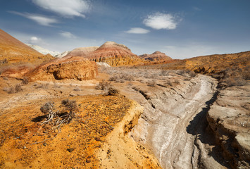 Canyon in the desert