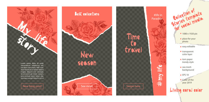 Trendy easy editable template for social media stories in torn paper style. Roses flower theme Creative design background for individual and corporate web promotion, blogs