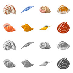 set of sea shells