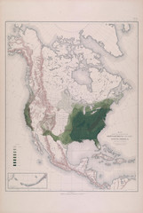 Forest map of America.