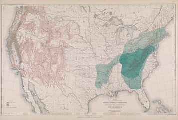 Forest map of America.
