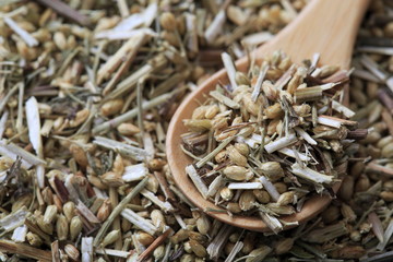 (Herbal) Yarrow's image