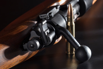 Obraz premium carbine shutter