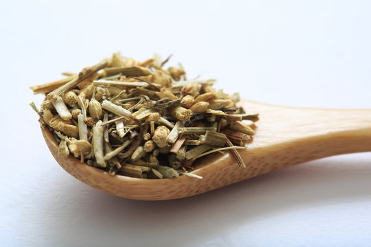 (Herbal) Yarrow's image