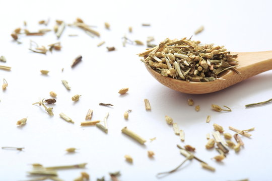 (Herbal) Yarrow's image