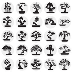 Bonsai icons set on circles background for graphic and web design. Simple vector sign. Internet concept symbol for website button or mobile app. - 259683614