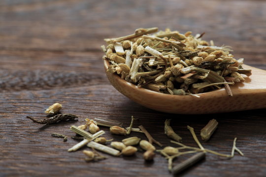 (Herbal) Yarrow's image