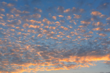 うろこ雲と夕焼け