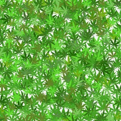 Fototapeta na wymiar Cannabis leaves background template - various green colours