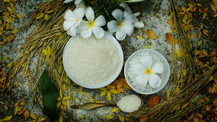 Thai rice grain characteristics