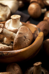 Mushrooms close up