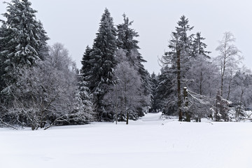 Winter landscape in Harz National park