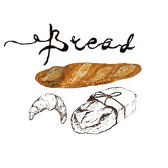Bread, bakery product watercolor and pen sketch drawing with lettering. Fresh loaf of bread, baguette, croissant and sweet bun, pretzel. Natural organic bread, bakery shop design