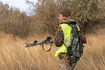 Hunters with a german drathaar and spaniel, pigeon hunting with dogs in reflective vests	
