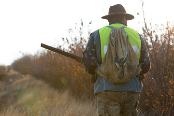 Hunters with a german drathaar and spaniel, pigeon hunting with dogs in reflective vests	