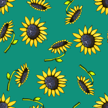 Seamless flower pattern. Sunflowers. Summer flowers. Print for fabric and other surfaces.
