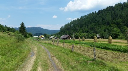Fototapeta na wymiar landscape with a green field and a stone