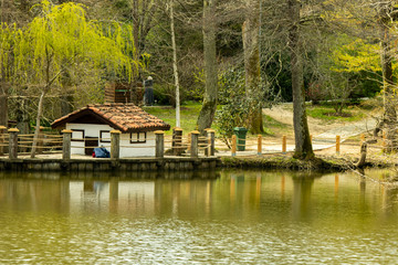 Obraz premium miniature house on the lake