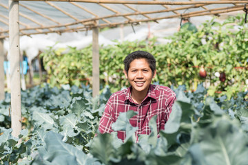 Asian farmer in organic vegetable garden