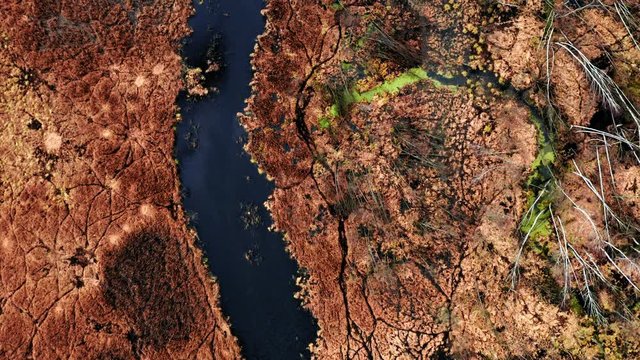 Aerial view of winding river between brown swamps