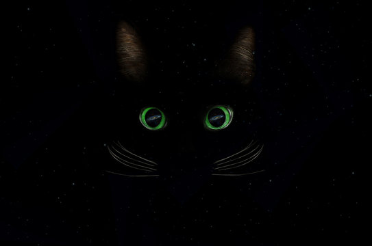 Black cat space concept, galactic in eyes among stars. Glowing cat eyes in the dark night sky. Domestic pet concept.