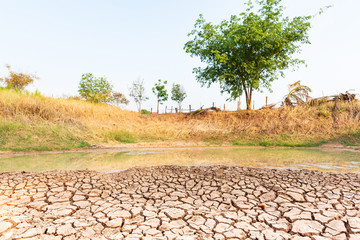 Cracked soil in the pond in summer season, drought in Thailand, climate change