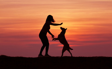 Silhouettes at sunset, a girl and a dog against the backdrop of an incredible sunset, a Belgian shepherd dog Malinois, playing and jumping