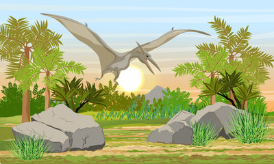 Flying reptile Pteranodon in the sky above prehistoric forest. Prehistoric animals and plants. Scene from Mesozoic or Jurassic period. Realistic Vector Landscape © AnnstasAg
