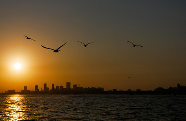 Sunset with seagulls and Hampi view